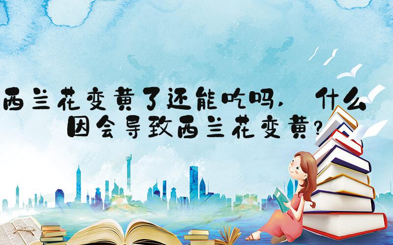 西兰花变黄了还能吃吗  什么原因会导致西兰花变黄？ 